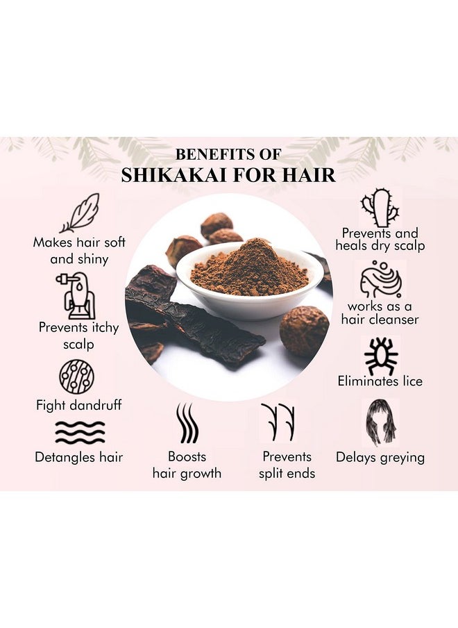 AYURVEDASHREE Shikakai Powder 100 Gm | Acacia concinna Fruit Pods Powder | Natural Hair Cleanser & Conditioner | Vegan | Non GMO | Vegan