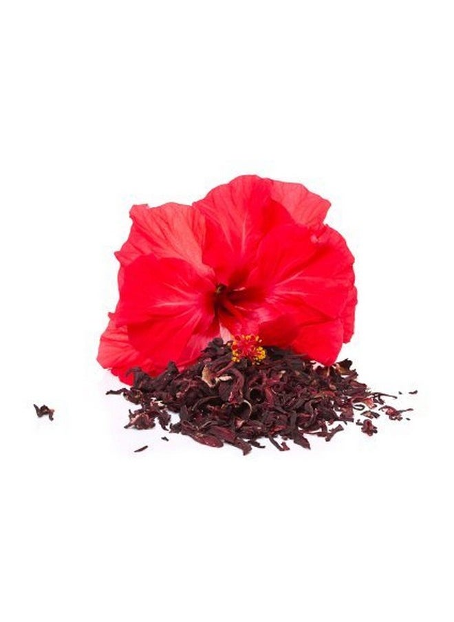 Natural Healthlife Care Hibiscus Powder(SABDARIFFA)/100% Pure, Natural For Hair,Skin (100 gm (0.22 lb) 3.5 ounces)