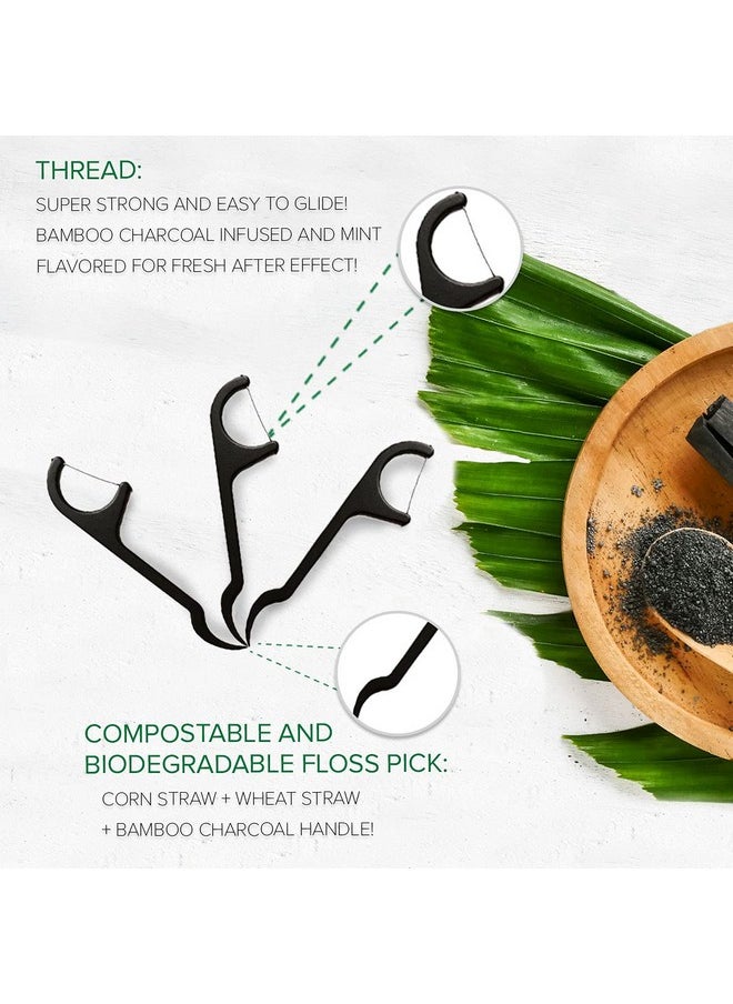 Natural Dental Floss Picks - Eco Friendly Cruelty Free & Vegan Tooth Flossers Pick Set with BPA Free Handle & Zero Waste Packaging - 200 Pack (Bamboo Charcoal Flavored)