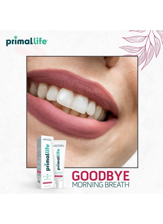 Primal Life Organics Premium Dirty Mouth Mineral Toothpaste - Nano-Hydroxyapatite, Colloidal Silver, Charcoal - Organic, All Natural Whitening Formula (Peppermint Flavor, 4 Oz)
