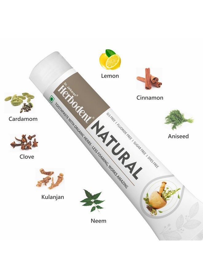 Natural Neem Toothpaste with Amazing Taste & Freshness | SLS, Fluoride, Artificial Colour & Sweetner Free | Less Foaming, Works Amazing | Herbodent® Natural - 3.53 oz Pack of 1