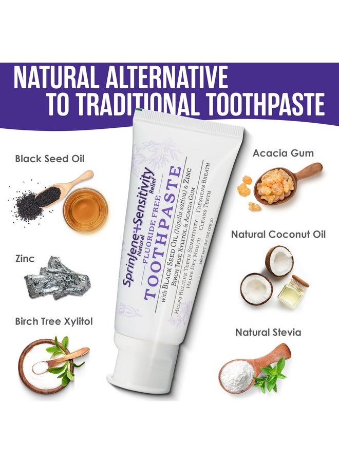 SprinJene Fluoride Free Toothpaste for Sensitive Teeth & Gum Fresh Breath Helps Dry Mouth Natural Non Fluoride Toothpaste for Adult SLS Free, Toxic Preservative Free with Black Seed Oil & Zinc 4 Pack