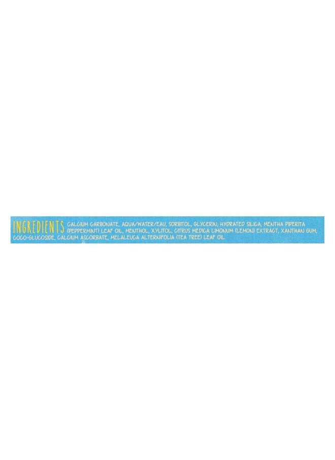 Frosty Mint Toothpaste 2.5 OZ