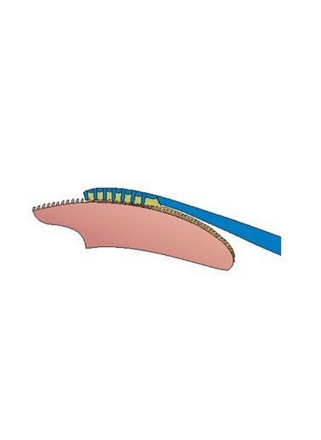 VeriFresh Tongue Cleaner- Fresh Breath Remedy