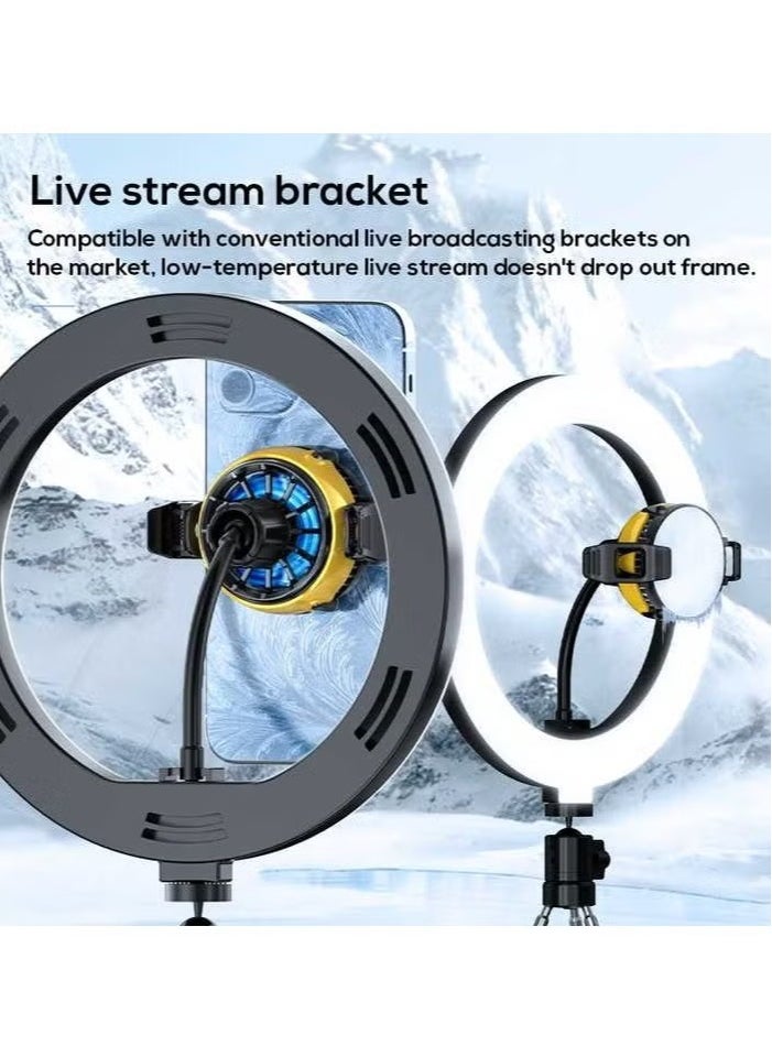 DLA6 Cooling Fan – Cold Wind Handle Fan for PUBG Mobile Gaming – Portable, Rechargeable, Compact Design, Reduces Device Overheating, Enhances Gaming Performance