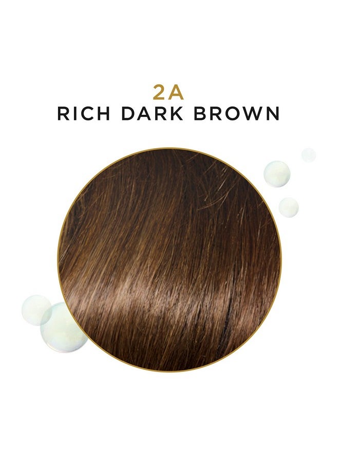 Clairol Professional Beautiful Advanced Gray Solutions 2a Rich Dark Brown, 3 oz
