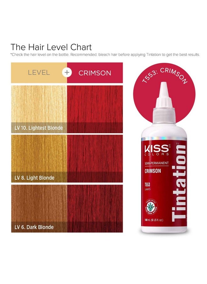 Kiss Tintation Semi-Permanent Hair Color 5 Ounce (Crimson (2 Pack))