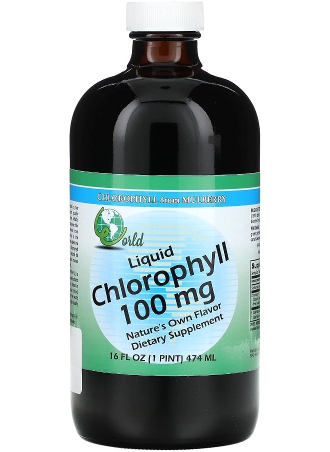 s Liquid Chlorophyll From Mulberry, 100Mg, 16Oz