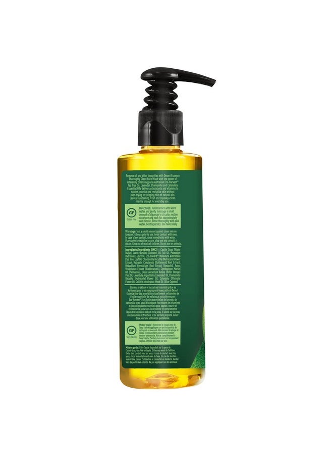 Desert Essence Thoroughly Clean Face Wash - Original - 8.5 Fl Oz - Pack of 2 - Tea Tree Oil - For Soft Radiant Skin - Gentle Cleanser - Extracts Of Goldenseal, Awapuhi, & Chamomile Essential Oils
