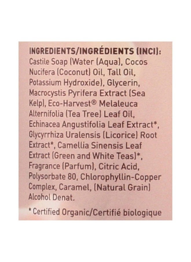 Desert Essence Thoroughly Clean Face Wash with Sea Kelp, Tea Tree Oil, Nourishing Castile Soap, Coconut Oil & More - Gently Remove Dirt & Impurities Without Drying Skin - Vegan, Sulfate Free - 8.5oz