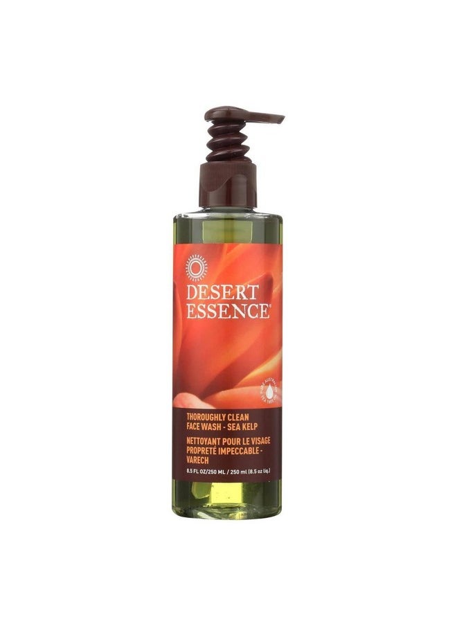 Desert Essence Thoroughly Clean Face Wash with Sea Kelp, Tea Tree Oil, Nourishing Castile Soap, Coconut Oil & More - Gently Remove Dirt & Impurities Without Drying Skin - Vegan, Sulfate Free - 8.5oz
