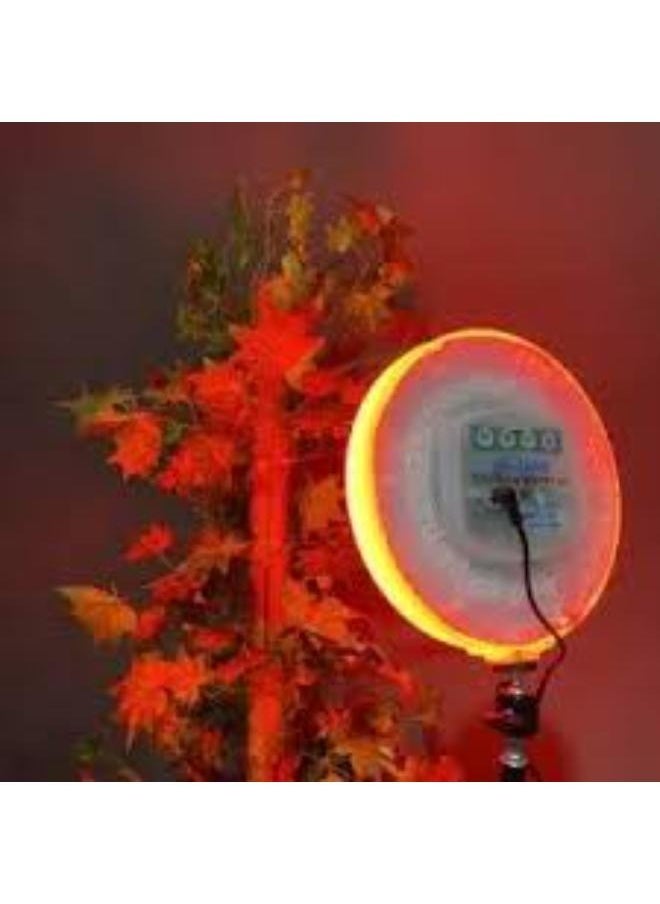 RGB LED Fill Light CS-2600 | 26CM Dimmable Photography Ring Light with 360° Adjustable Design, Remote Control, USB Powered for Makeup, Live Streaming, and Content Creation