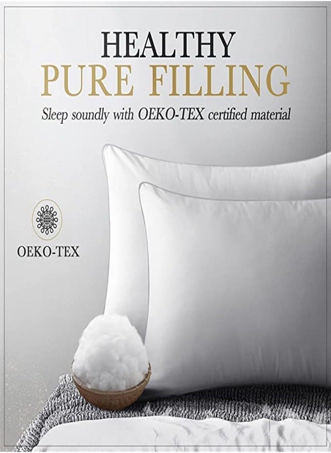 2 Piece Pillow Set