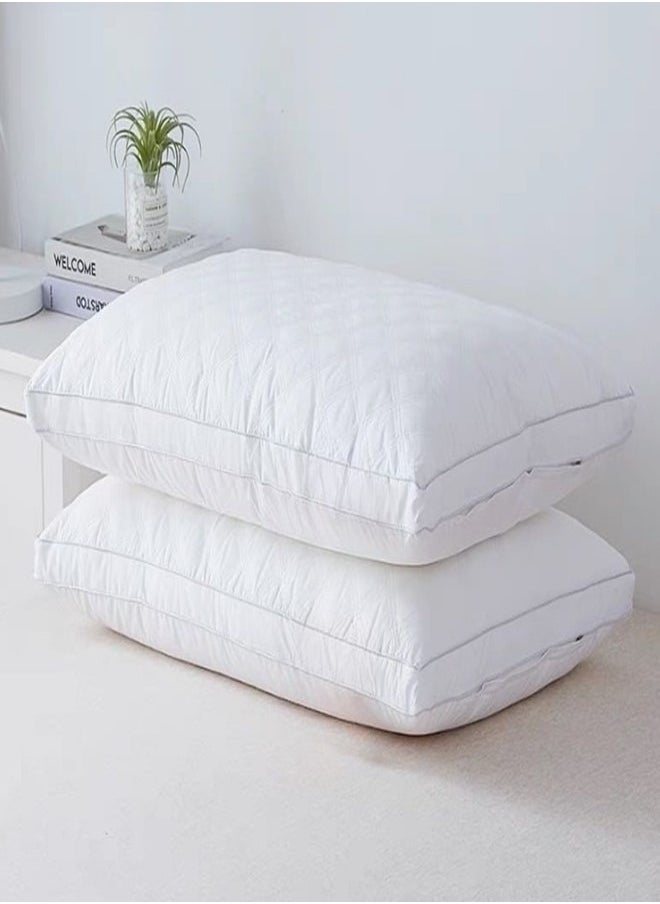2 Piece Pillow Set