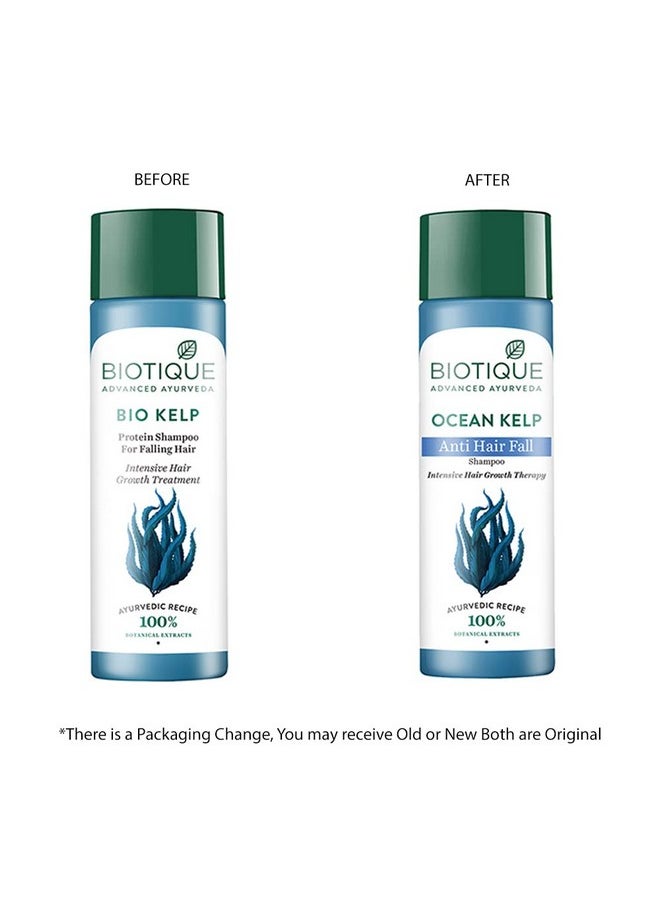 Biotique Ocean Kelp Anti Hairfall Shampoo | Intensive Hair Growth Therapy| Anti Hairfall Shampoo that Maintains Shine |100% Botanical Extracts | Suitable for All Hair Types |190ml