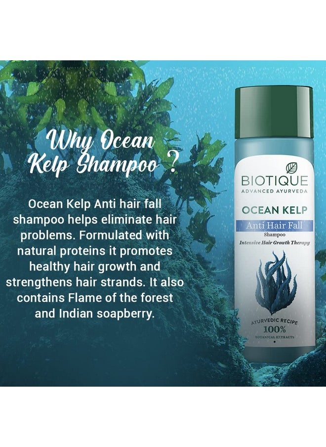 Biotique Ocean Kelp Anti Hairfall Shampoo | Intensive Hair Growth Therapy| Anti Hairfall Shampoo that Maintains Shine |100% Botanical Extracts | Suitable for All Hair Types |190ml