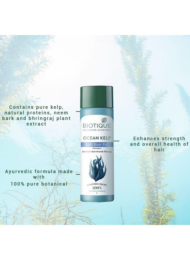 Biotique Ocean Kelp Anti Hairfall Shampoo | Intensive Hair Growth Therapy| Anti Hairfall Shampoo that Maintains Shine |100% Botanical Extracts | Suitable for All Hair Types |190ml