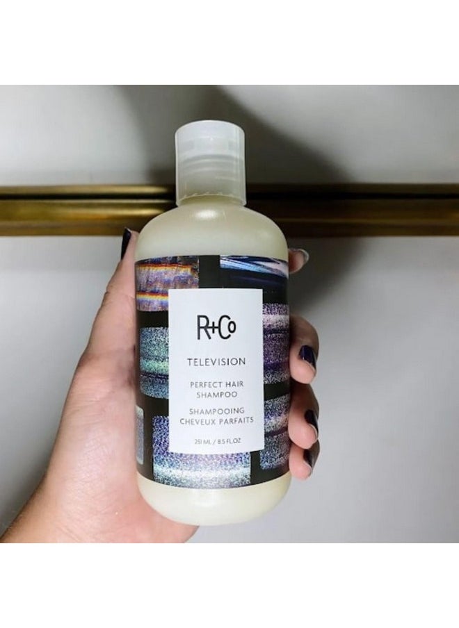 R+Co Television Perfect Hair Shampoo | Body + Shine + Smoothing for All Hair Types | Vegan + Cruelty-Free |