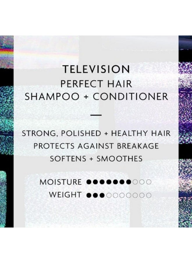 R+Co Television Perfect Hair Shampoo | Body + Shine + Smoothing for All Hair Types | Vegan + Cruelty-Free |