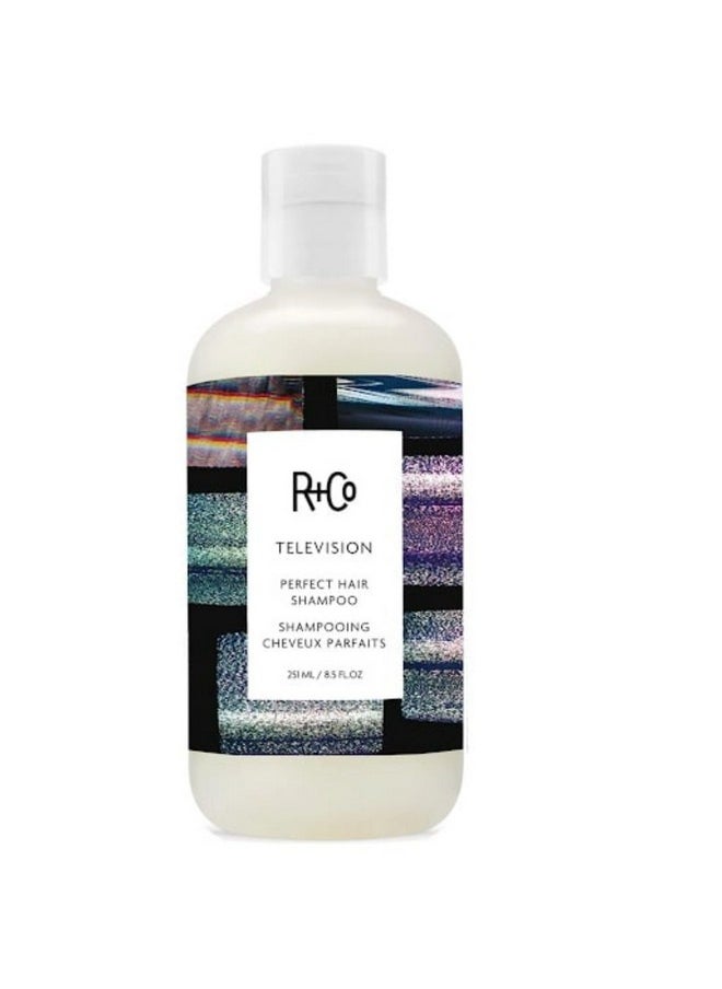 R+Co Television Perfect Hair Shampoo | Body + Shine + Smoothing for All Hair Types | Vegan + Cruelty-Free |