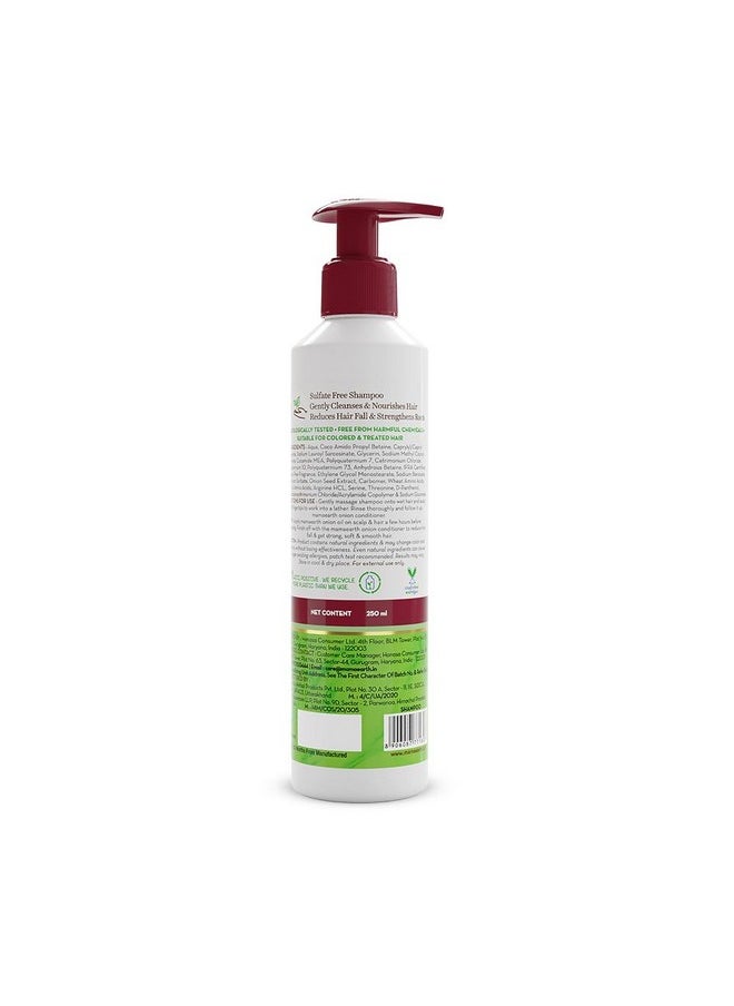MAMAEARTH Onion Shampoo for Hair Growth & Loss Control | Moisturizing Gentle Scalp Cleanser with Plant Keratin | Sulfate & Paraben Free | 8.45 Fl Oz (250ml)