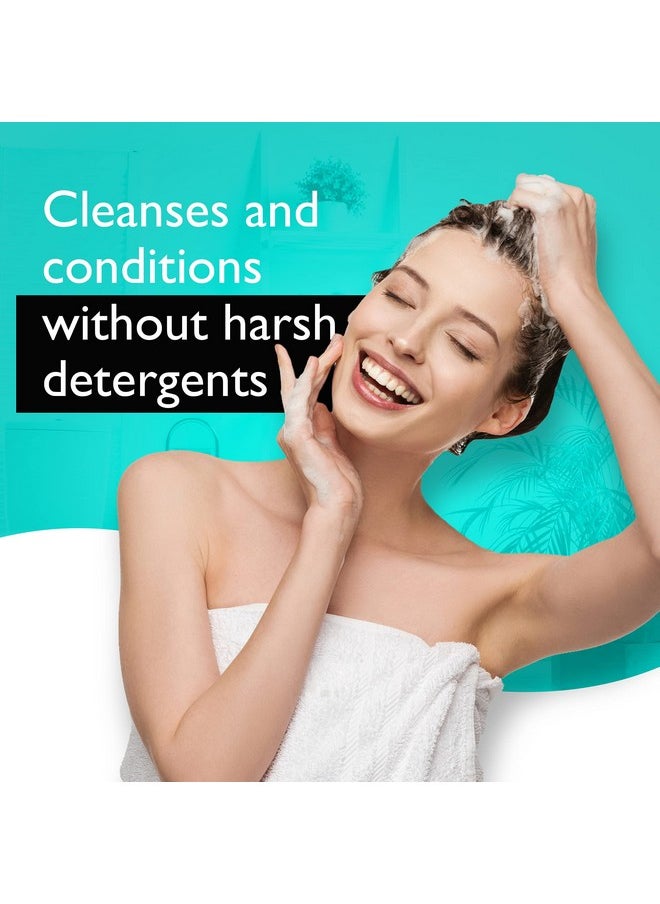 DHS Clear Shampoo, 16 Oz