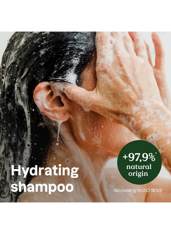ATTITUDE Hydrating Hair Shampoo with Essential Oils, EWG Verified, Plant and Mineral-Based Ingredients, Vegan Beauty Products, Refillable Aluminum Bottle, Peppermint & Sweet Orange, 16 Fl Oz