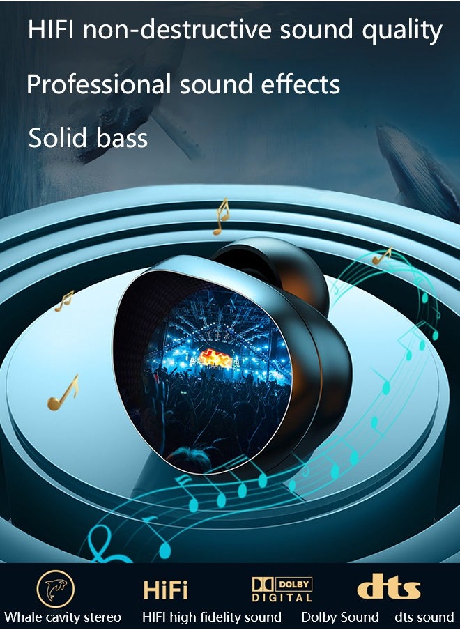 True Wireless Earbuds, HiFi Stereo Ear Buds, Bluetooth 5.4 Ultra-fast Connection In-Ear Earphone with Magnetic 2000mAh Charging Case,Type-c Cltra-fast Charging In-ear Music Headset Built in Mic for Clear Voice Call, Active Noise Cancellation Headphone,Waterproof and Anti-sweat,Black