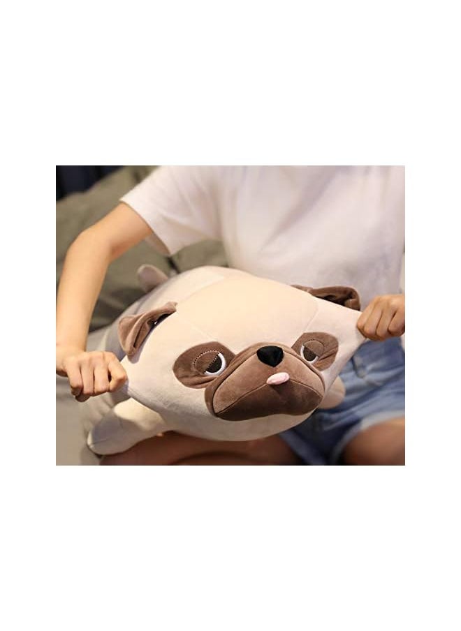 Bulldog Plush Toy, 20