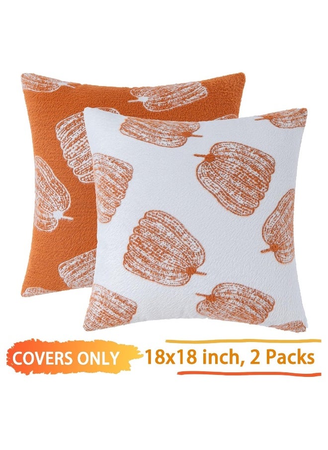 2 Pumpkin Autumn Pillow Covers 18 ‘x18’ Orange Farmhouse Velvet Decorative Pillow for Sofa Luxury Home Decor Faux Fur Pillow Covers