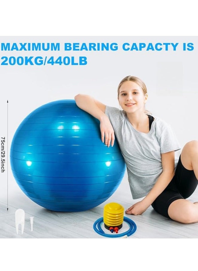 Yoga Gym Swiss Ball,Exercise Ball PVC Stability Balance Yoga Ball Chair Quick Pump for Physical Workout Pregnancy Home Office Gym Equipment