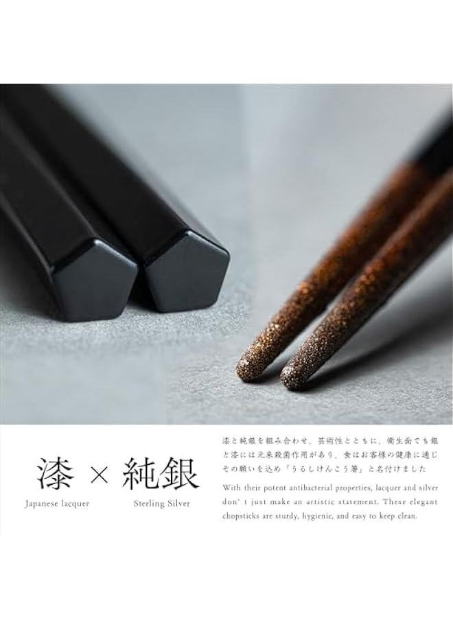 URUSHI KENKO chopsticks ( BLACK 8.9 Inch/22.5 cm ) made in japan (Dishwasher compatible) luxury chopsticks reusable japanese style gift set palillos chinos cute