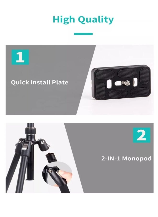 2-IN-1 Monopod tripod 360° Rotation Ball Head with Stable Hook 2-IN-1 Monopod Professional Tripod Stand for Tablet Mobile DSLR camera Action camera(Type 325-NB30)