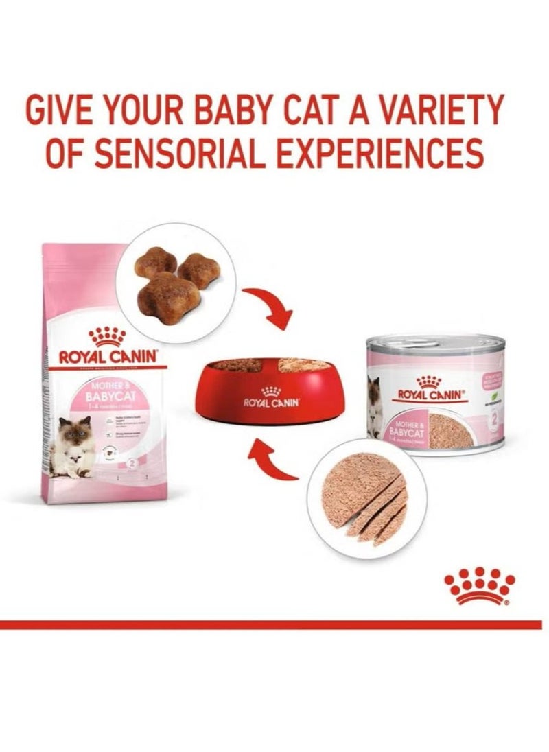 Royal Canin Feline Health Nutrition Mother & Babycat Mousse (WET FOOD - Cans) 12X195g