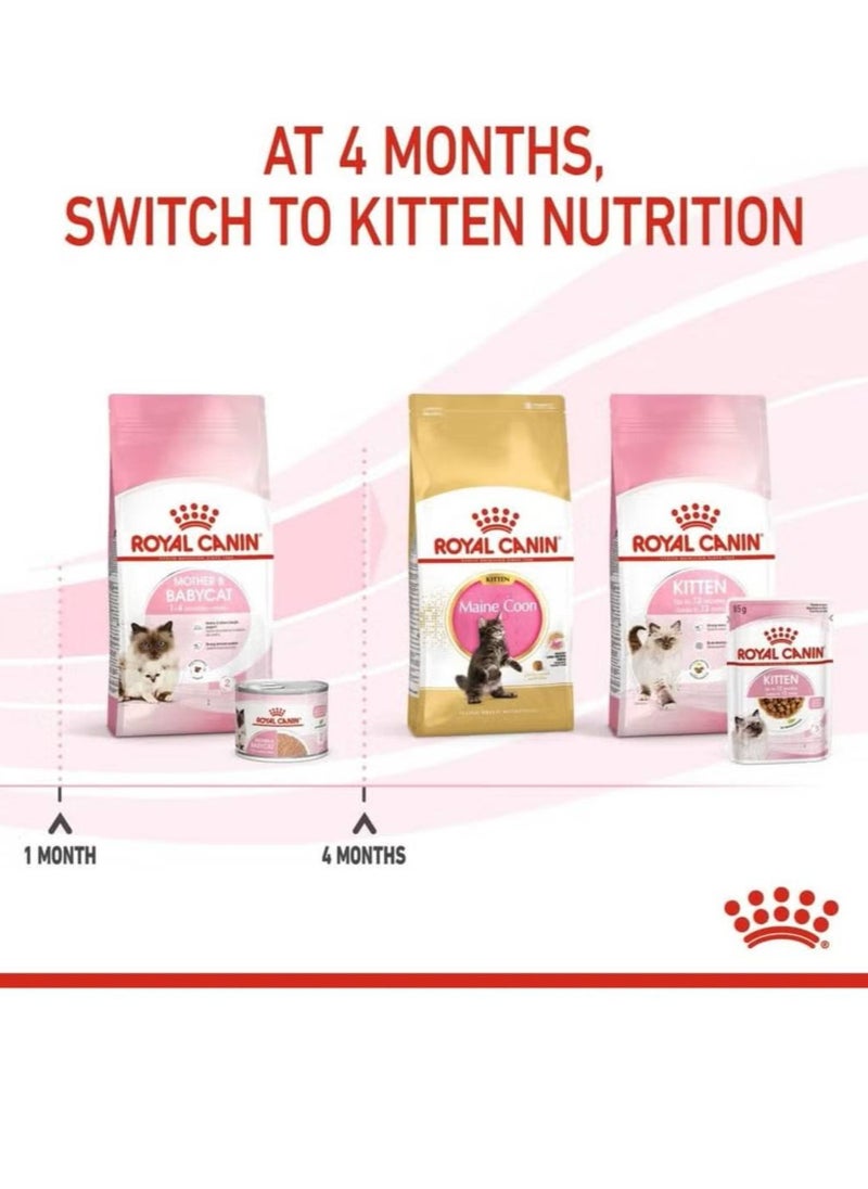 Royal Canin Feline Health Nutrition Mother & Babycat Mousse (WET FOOD - Cans) 12X195g
