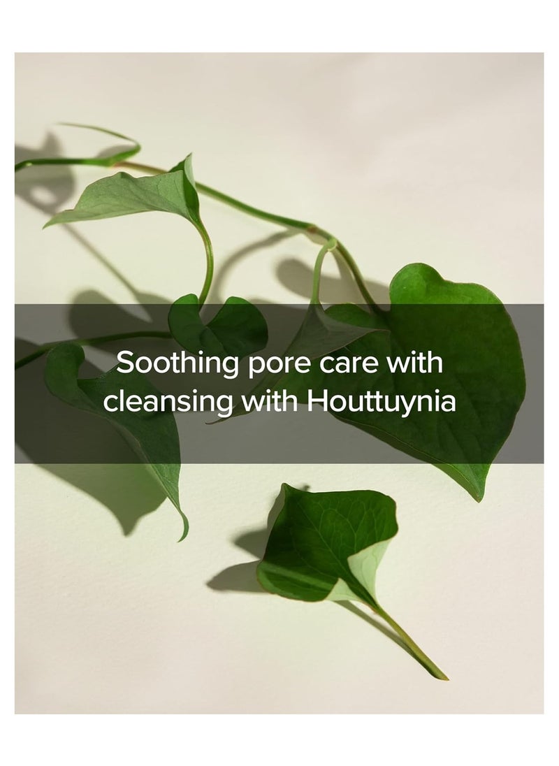Mary&May Houttuynia Cordata + Tea Tree Cleansing Foam 5.07 Fl Oz / 150 ml | Pore Care, Cleanser for Trouble, Relieve Skin, Creamy Texture | Sensitive Skin