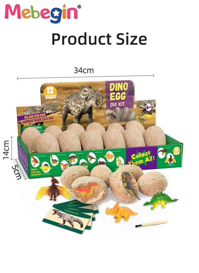 Dinosaur Eggs Excavation Dig Kit with 12 Dinosaur Eggs, Dinosaur Toys for Kids, Fun Science Toys, STEM Toys, Great Interactive Toy, Ideal Gift for Kids Aged 6+