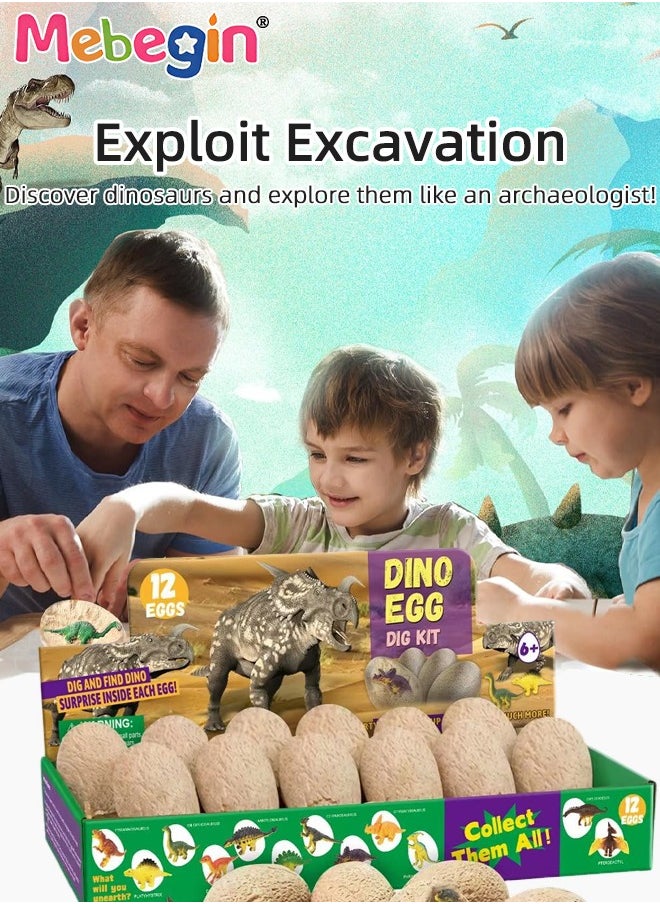 Dinosaur Eggs Excavation Dig Kit with 12 Dinosaur Eggs, Dinosaur Toys for Kids, Fun Science Toys, STEM Toys, Great Interactive Toy, Ideal Gift for Kids Aged 6+