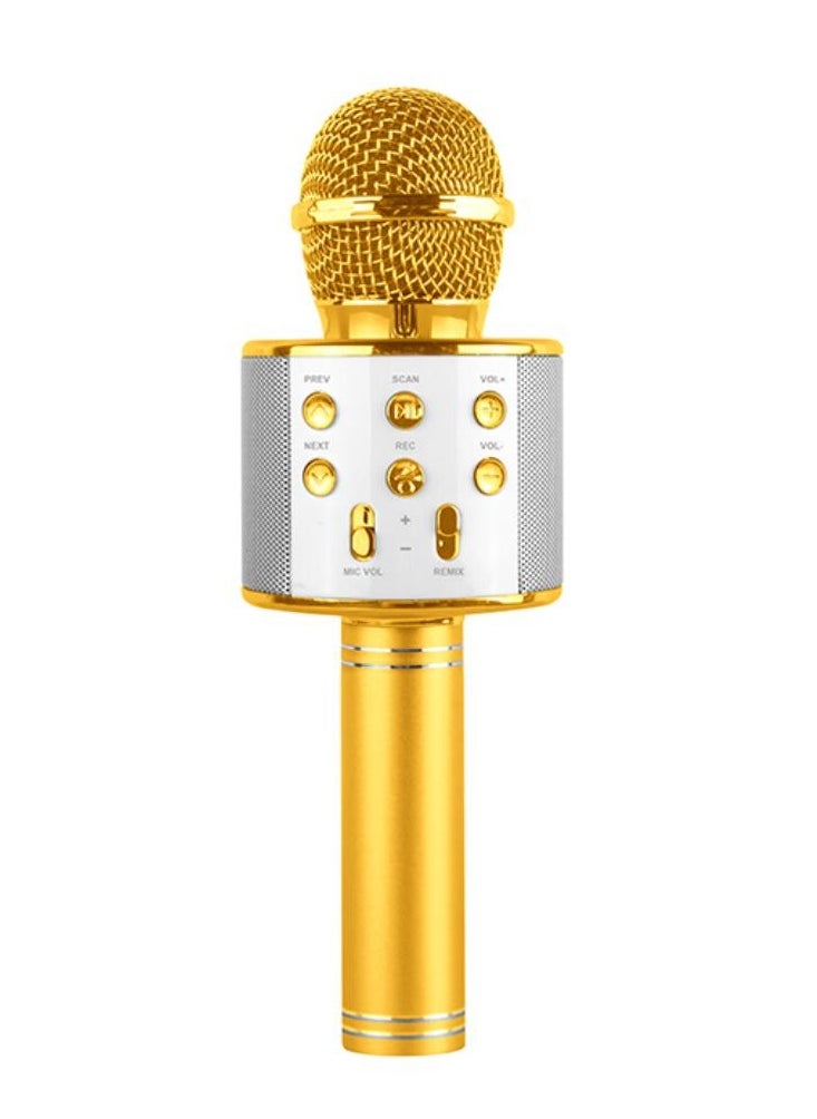 Power Joy Karaoke Microphone With Bluetooth, Recording, Battery Operated, Assorted 1 Piece (Style & Color May Vary) | Unleash your inner rockstar! | Portable Microphone | Compatible to Karaoke Machine, Smartphone, Tablet and etc! | Wireless Bluetooth Speaker | Gift for Adults and Music Lover