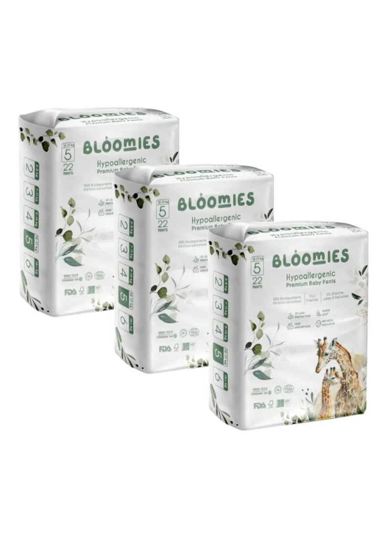 Bloomies Premium Pant Style Baby Diapers, Hypoallergenic, 3D Leak Protection, Wetness Indicator, Super Soft, Size 5, 12 to 17kg - 66 Pieces