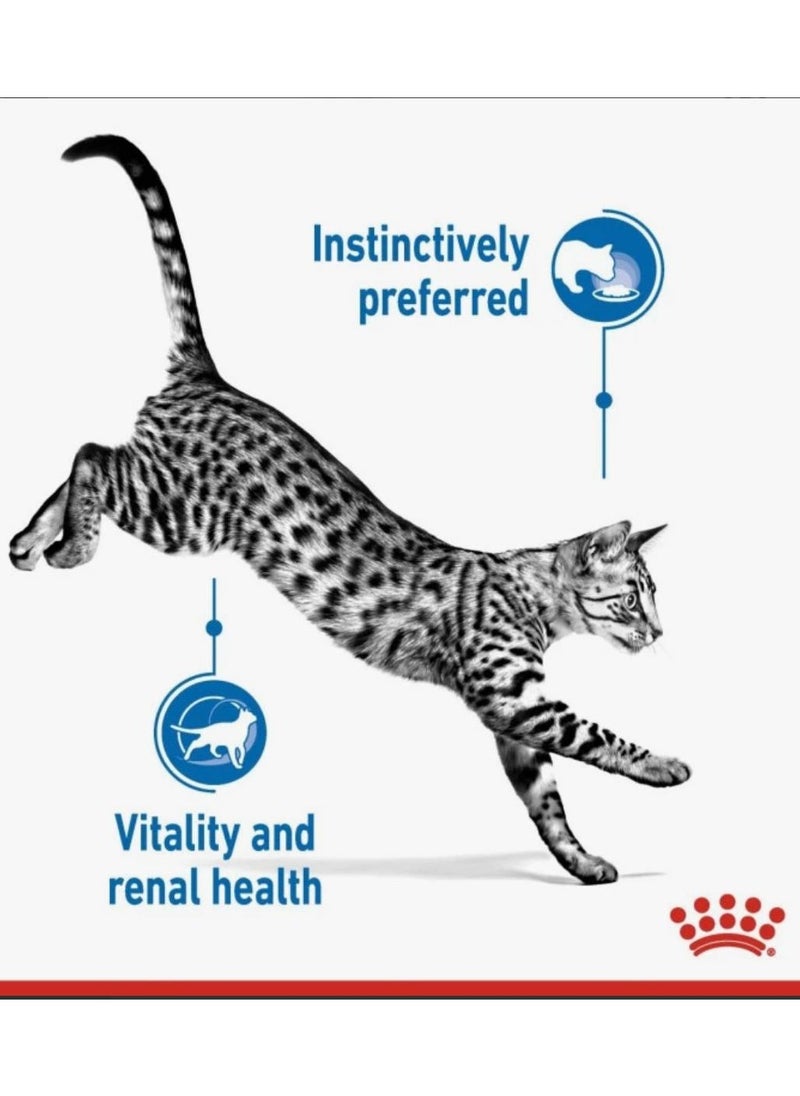 Royal Canin Feline Health Nutrition – Indoor Wet Cat Food – 85g (Pack of 12)