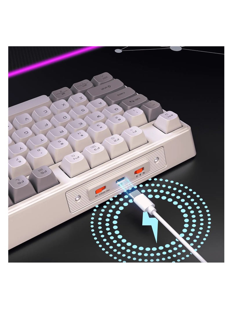 MEETION MK14 TKL Three Mode Wireless/Bluetooth/Wired Hot-swappable Gaming Keyboard 87 Keys RGB LED Light Mechanical Keyboard for Game