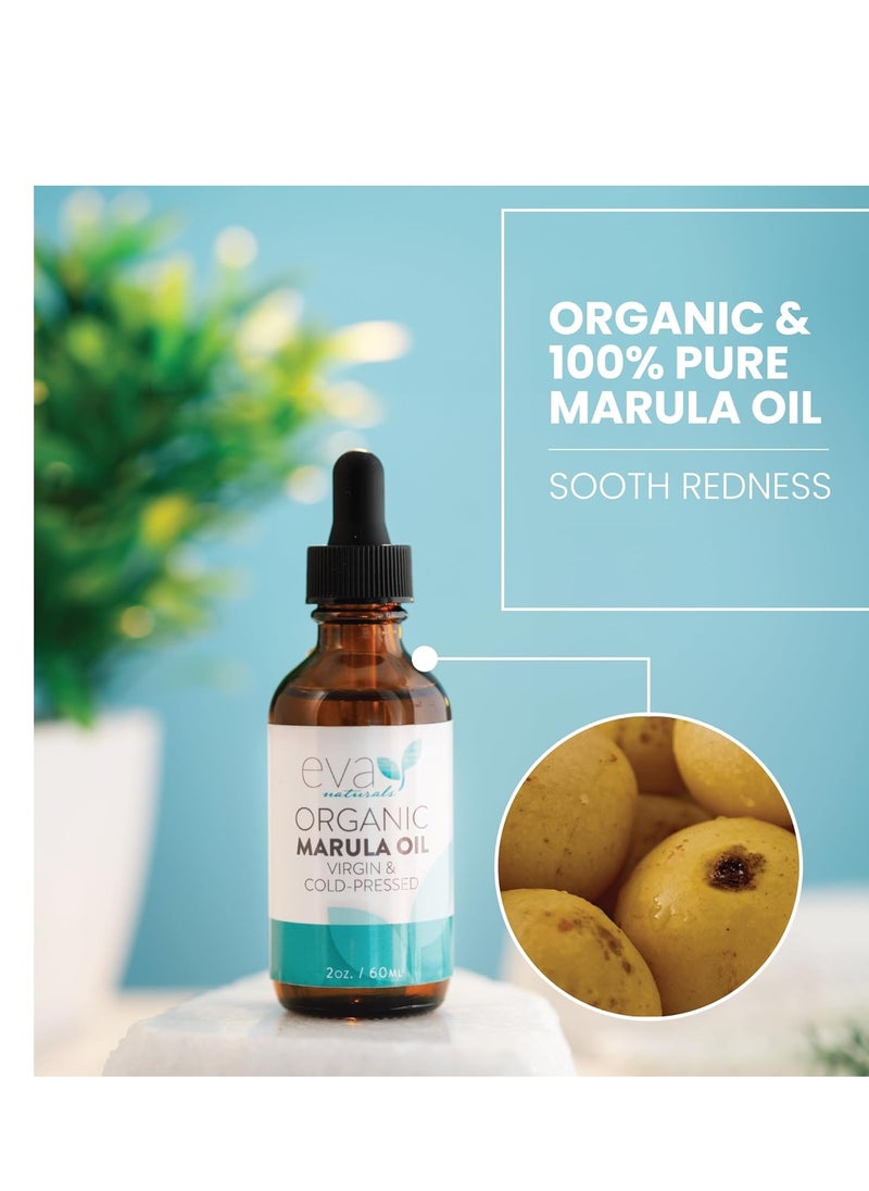 Organic Marula Oil for Face and Hair, 100% Virgin Moisturizing Beauty Oil - Cold Pressed, Natural Anti-Aging Formula - Non-greasy, Unrefined, Rich in Omegas & Antioxidants - 2oz.