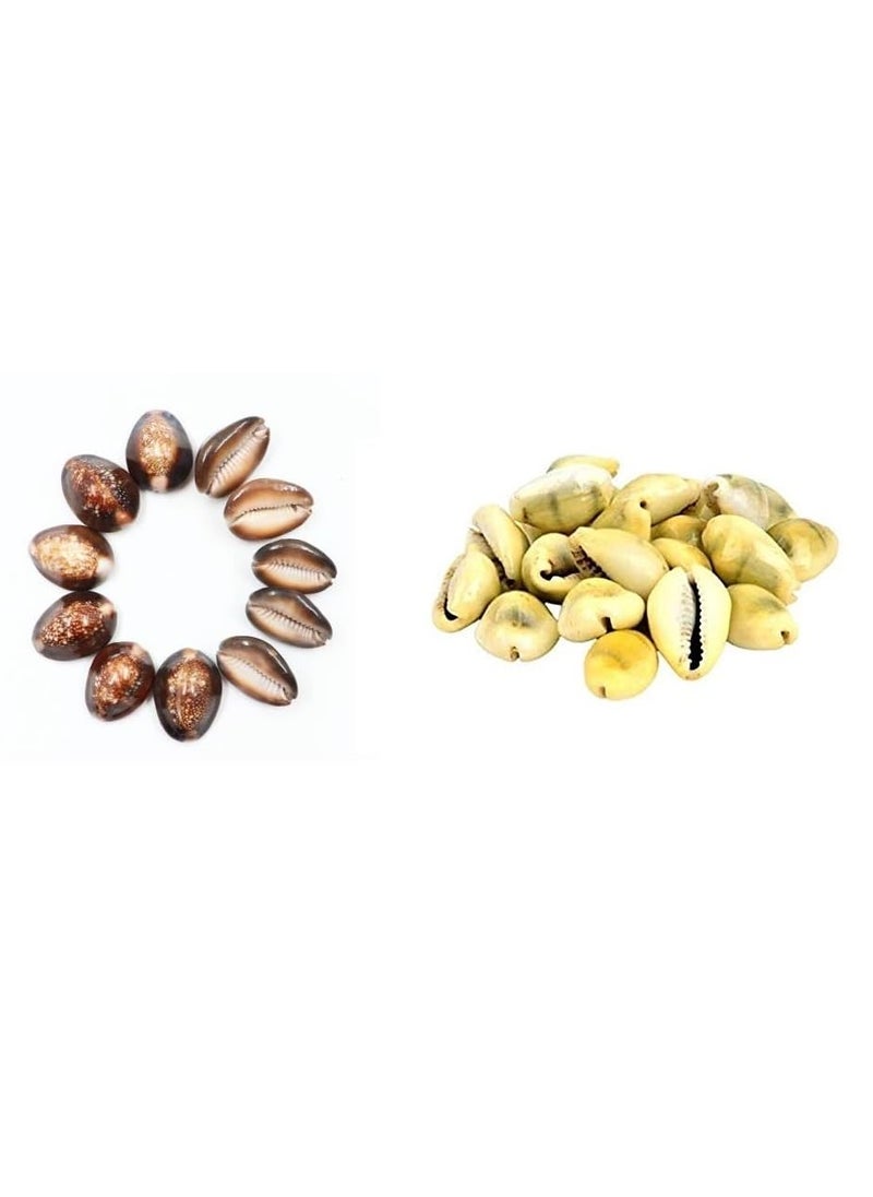 Akshayshree Sales Natural Yellow Brown Kodi for Laxmi PoojaSea Shell Kodi for Pooja 15