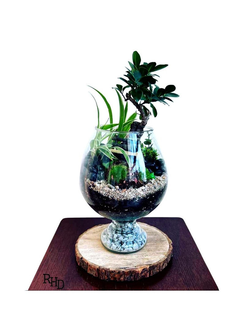 Rishabh home Decoration Crystal Clear Glass Fish or Terrarium Wine Cup Bowl 8 inchi