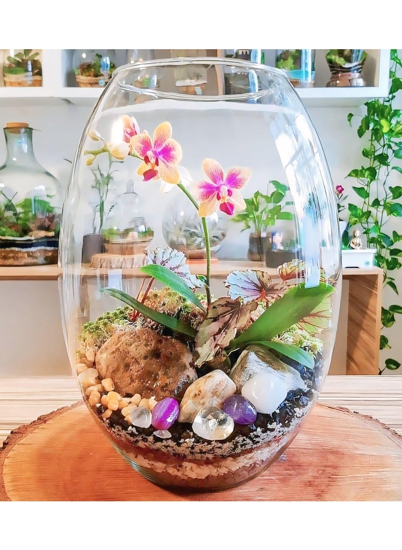 Rishabh Home Decoration Dholak Shaped Decorative Glass Vase for Living Room Table and Home Dcor Gift Item Flower Pot Decorative Glass Vase 12 inchi
