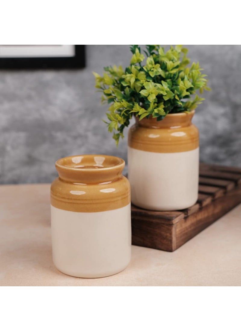 VarEesha HandMade HandMade Old School Barni Shaped Ceramic Vases Set of 2 Pampas Grass Vase Ceramic Vase Cylindrical Flwoer Vase Table Decor Showpiece Ceramic Flower Pot 5 Inch