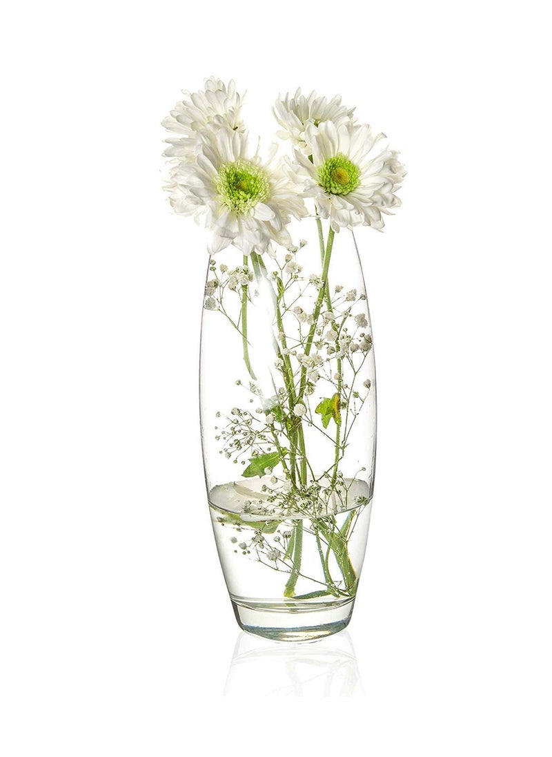 DECENT GLASS Glass Oval Shape Floral Vase Clear Glass Vases 12 X 55 Inch Clear