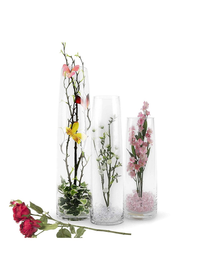 Rishabh Home Decoration Clear Glass Vase 8 X 29 Cm 7 X 21 CM7 X 165 Cm Clear