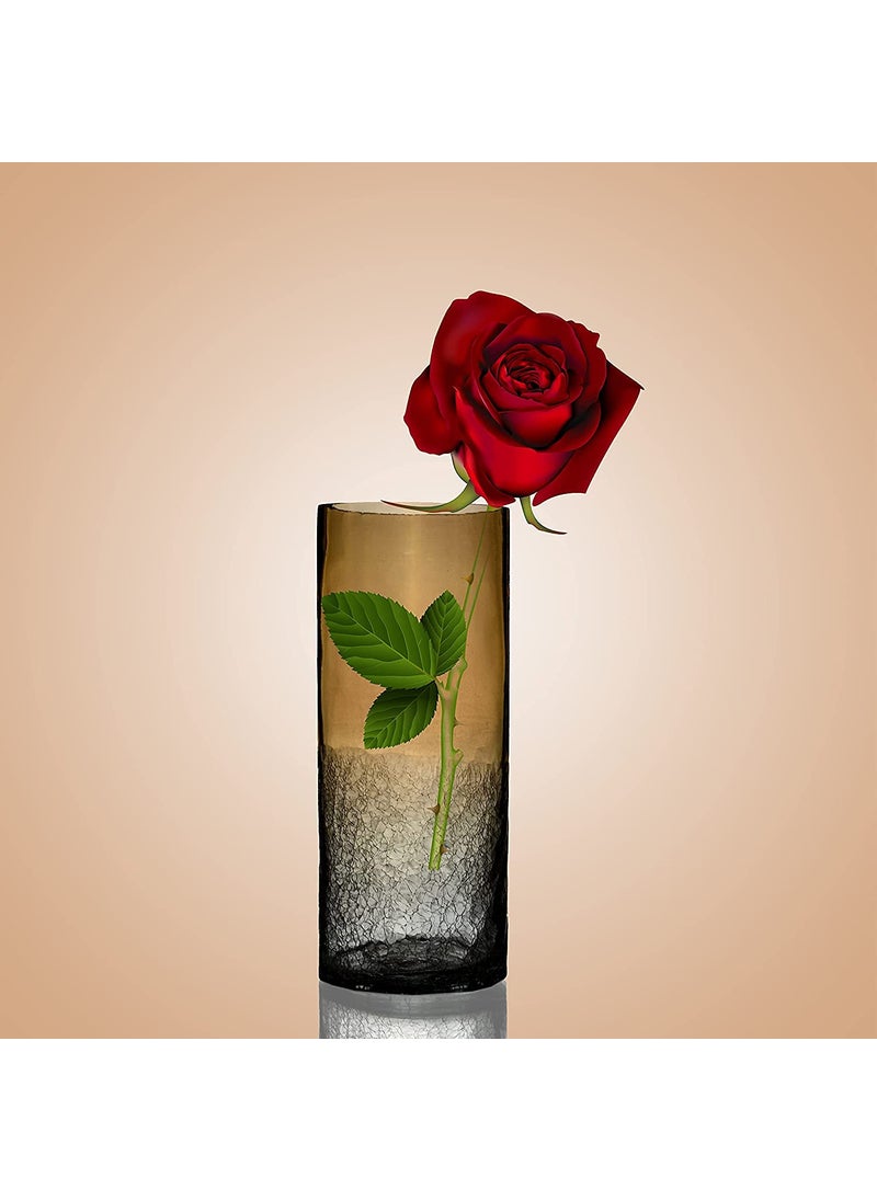 DECENT GLASS Crackle Luster Flower Vase Crackle Luster Style 5